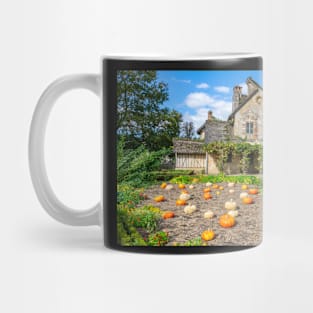 Pumpkin patch and farmhouse Mug